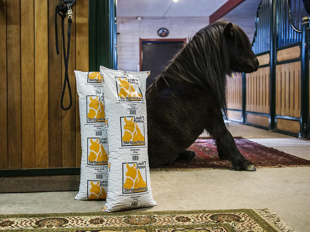 Pellet bags in a stable with a horse in the background